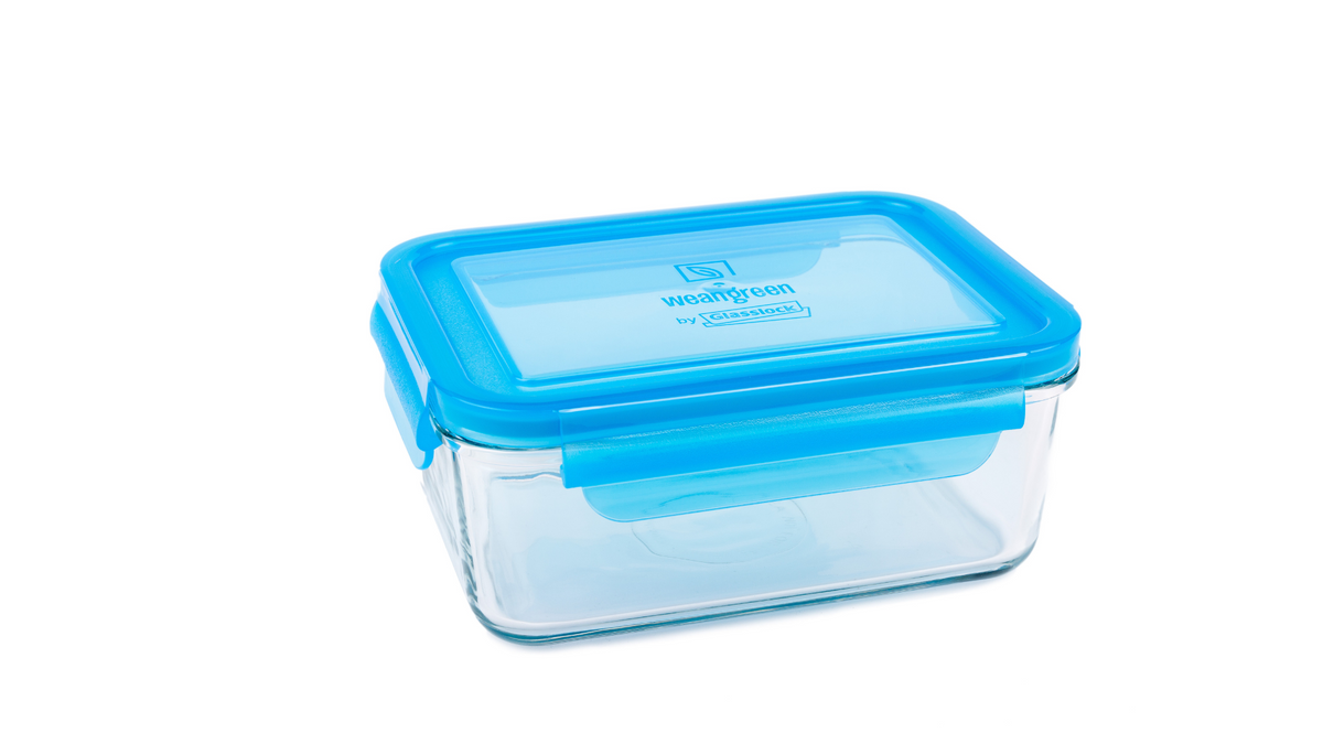 Meal Tubs BLUEBERRY - 4.5 cups