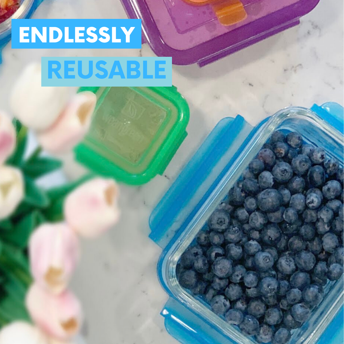 Does Food in Glass Storage Containers Stay Fresher? – LifeSavvy